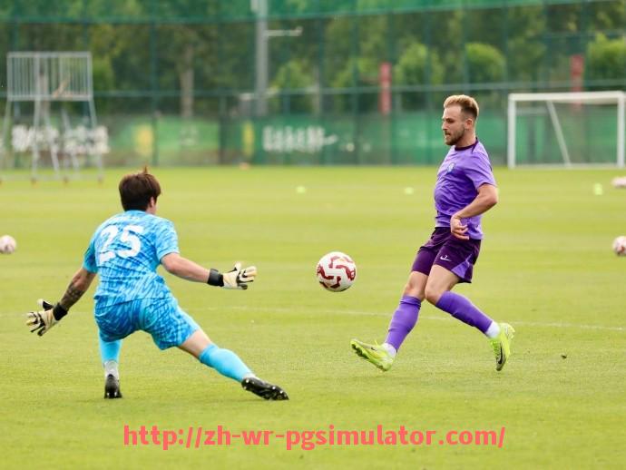 PG电子在线试玩入口-挪威球员在英超的表现及发展趋势