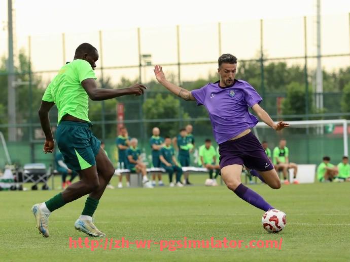 PG电子在线试玩入口-西甲联赛一共多少轮比赛？赛季总览与数据